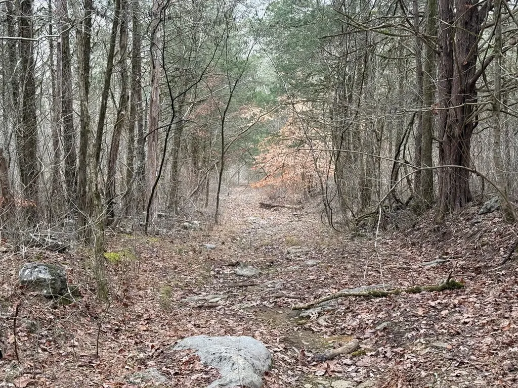 37.88 Ac Cook Lane Gainesboro TN 38562