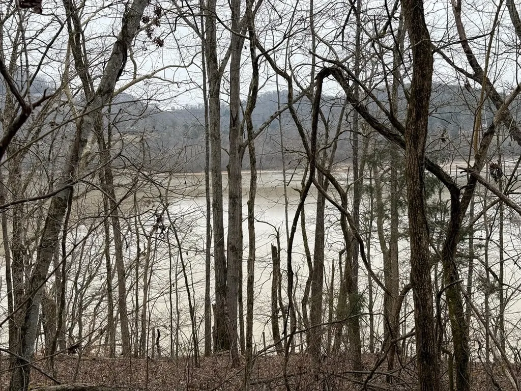 37.88 Ac Cook Lane Gainesboro TN 38562