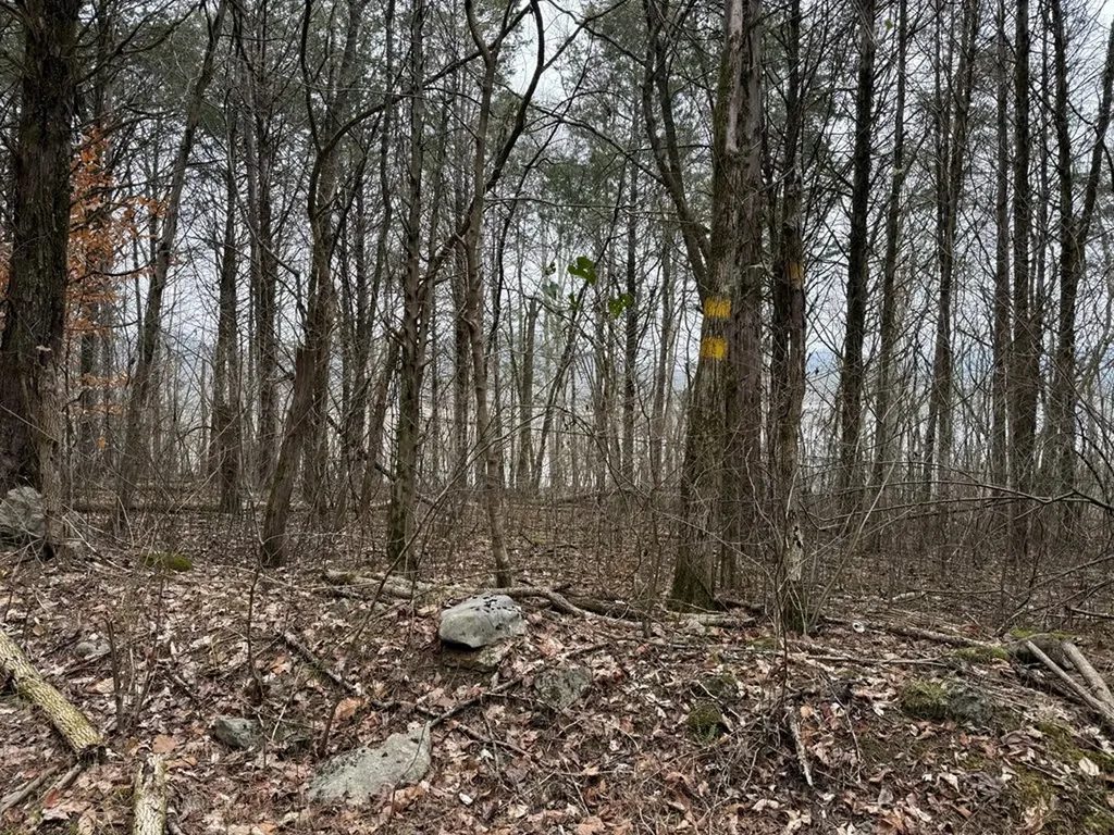 37.88 Ac Cook Lane Gainesboro TN 38562