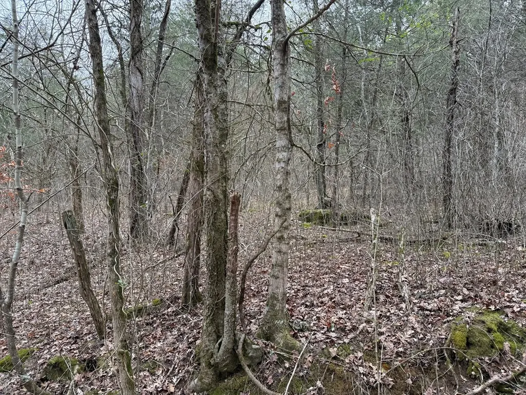 37.88 Ac Cook Lane Gainesboro TN 38562