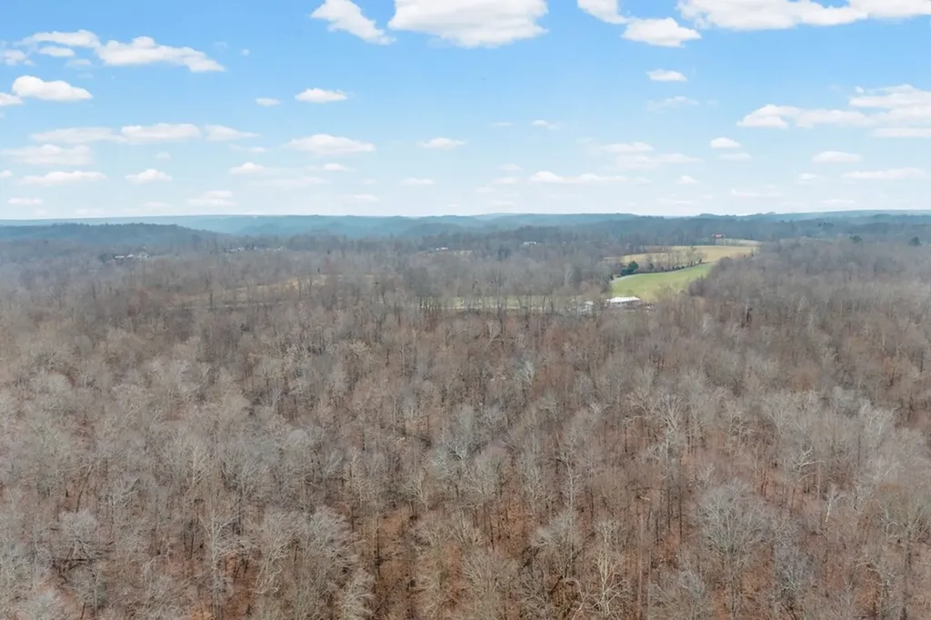 1750 South Fork Road Whitleyville TN 38588