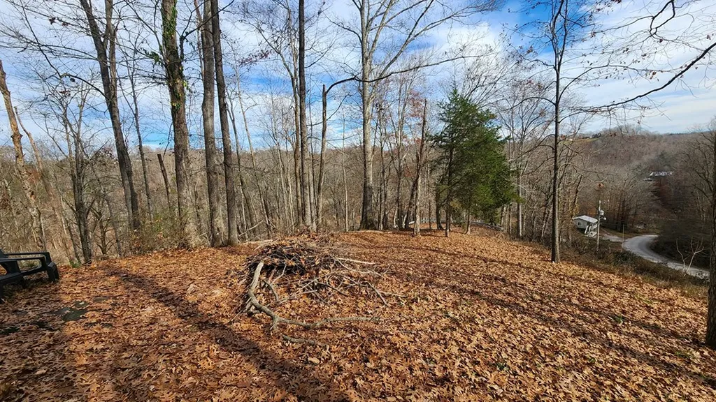 5615 Eastport Road Alpine TN 38543