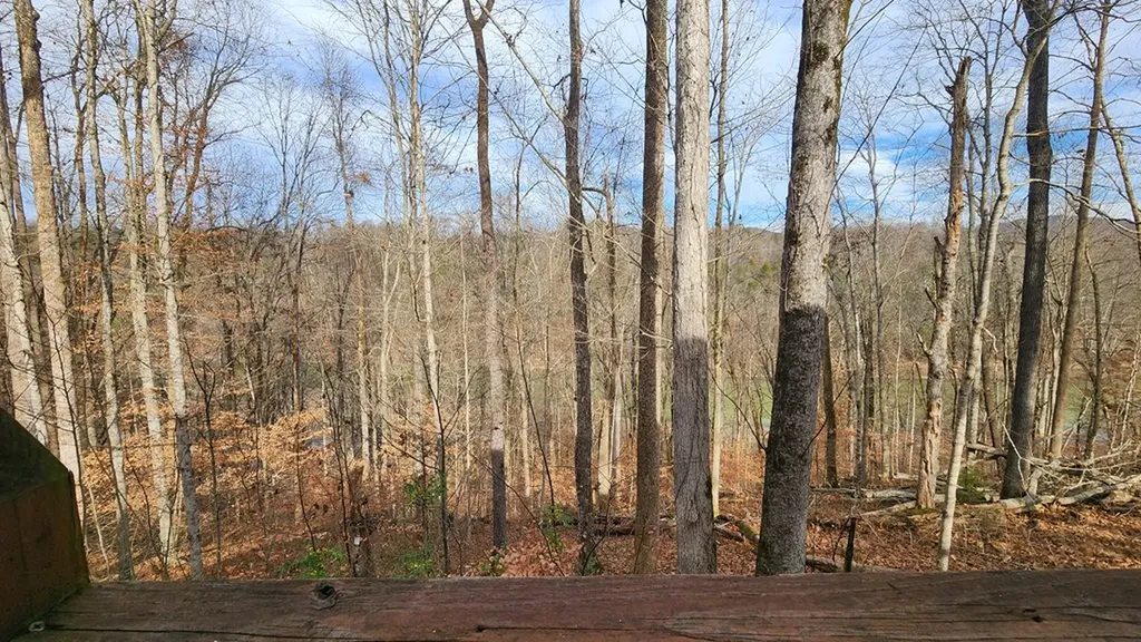 5615 Eastport Road Alpine TN 38543