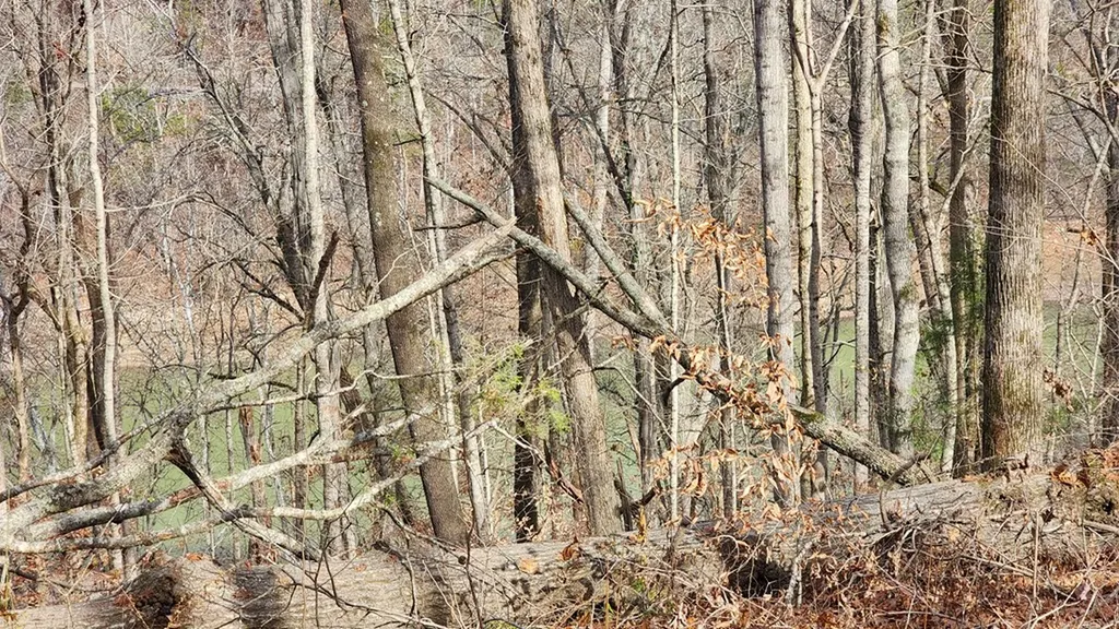 5615 Eastport Road Alpine TN 38543