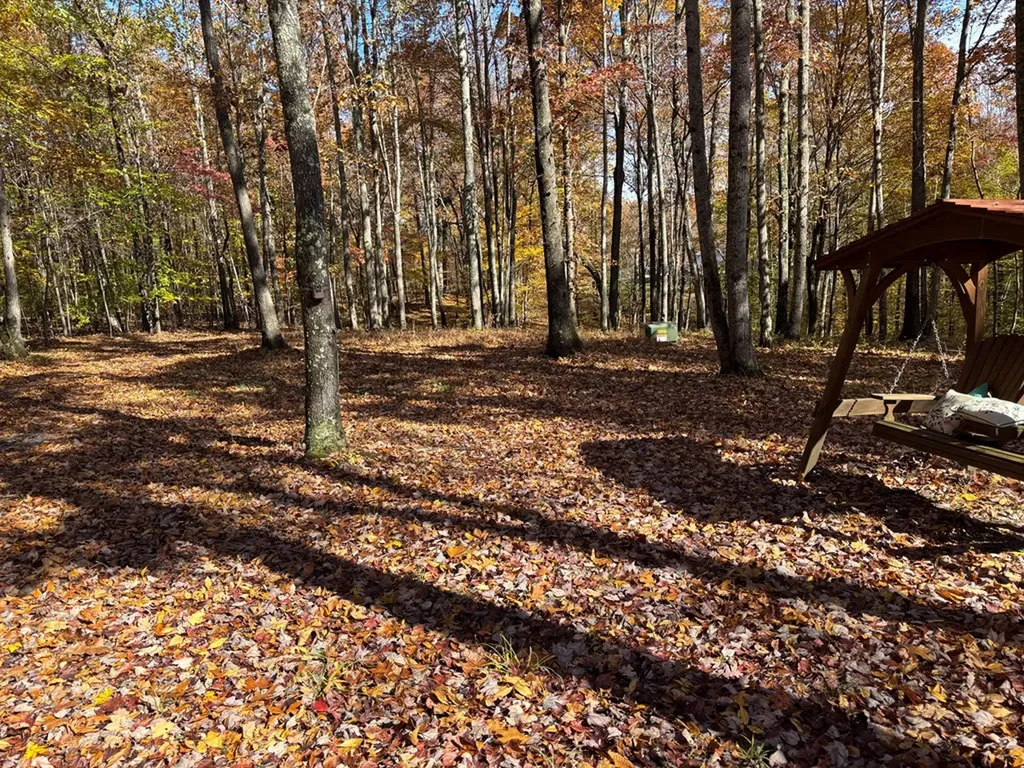 230 E Market Lane Gainesboro TN 38564