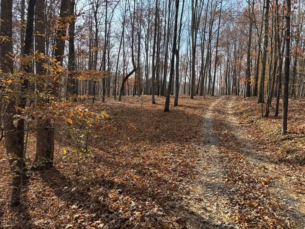 230 E Market Lane Gainesboro TN 38564