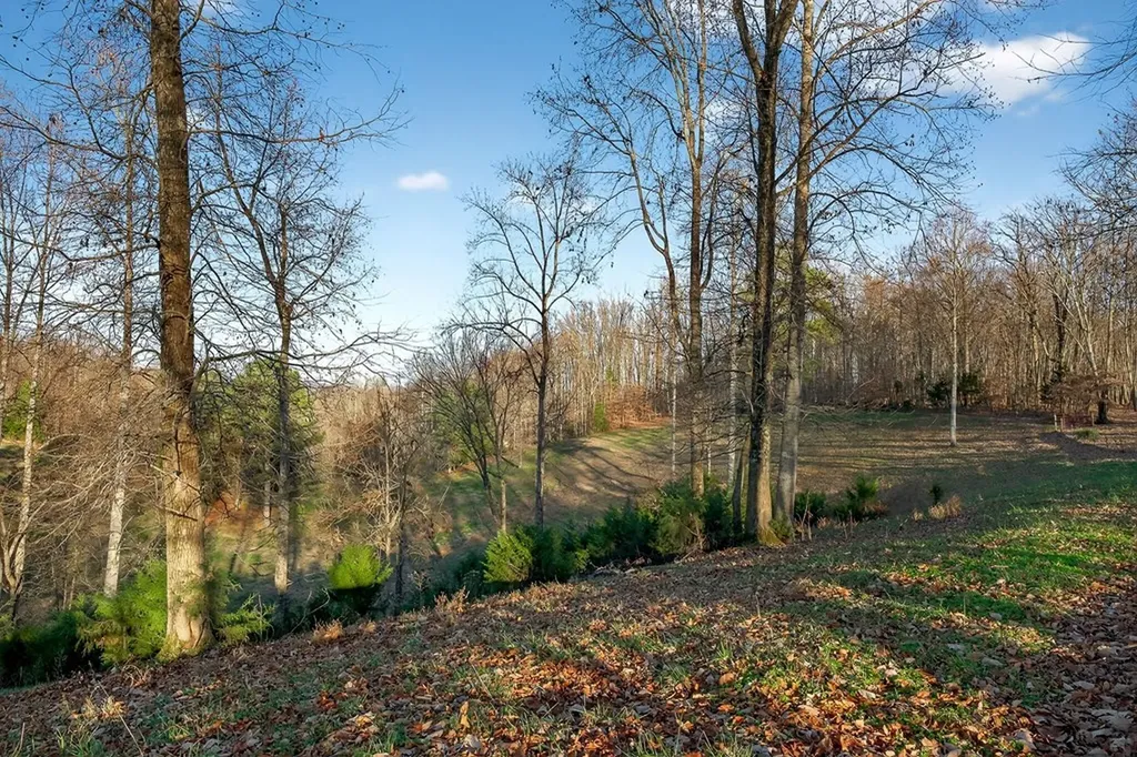 168 Davis Hollow Road Hilham TN 38568