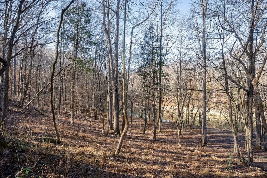 Lot 9 Hidden River Road Rock Island TN 38581