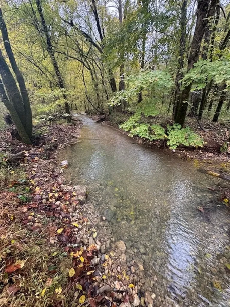 0 Mcbroom Branch Road Baxter TN 38544