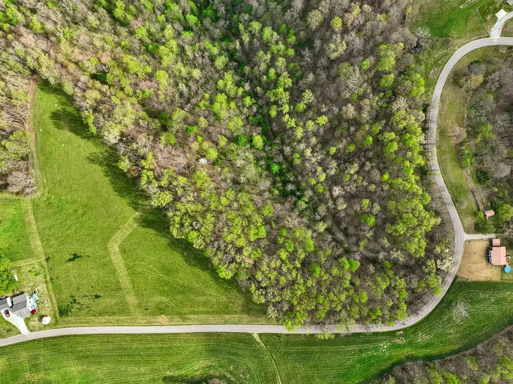 0 Clemons Ridge Road Lot 2 Silver Point TN 38582
