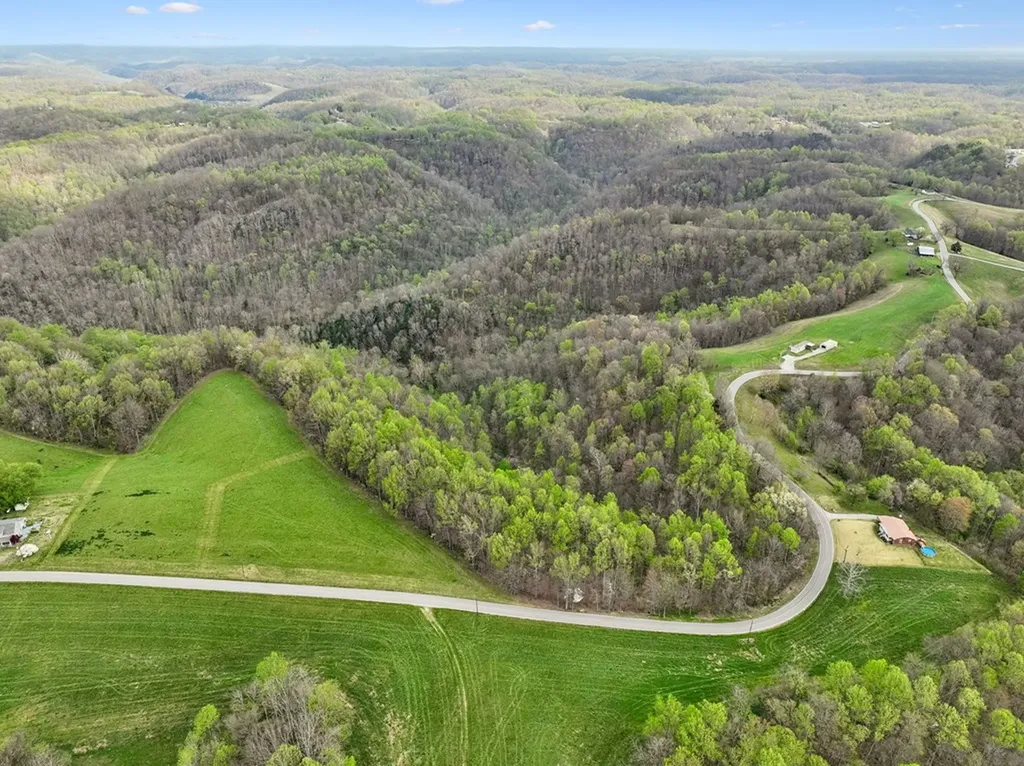 0 Clemons Ridge Road Lot 1 Silver Point TN 38582