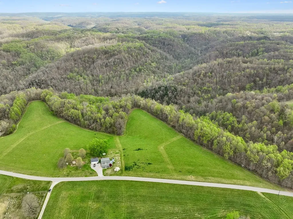 0 Clemons Ridge Road Lot 1 Silver Point TN 38582