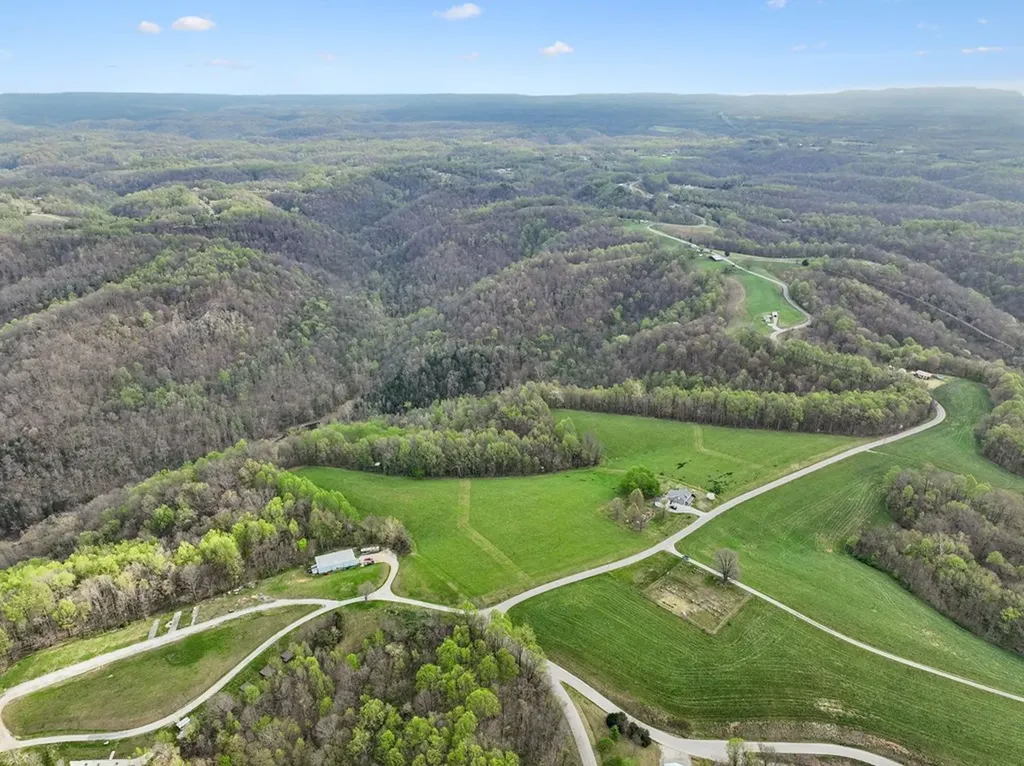 0 Clemons Ridge Road Lot 1 Silver Point TN 38582