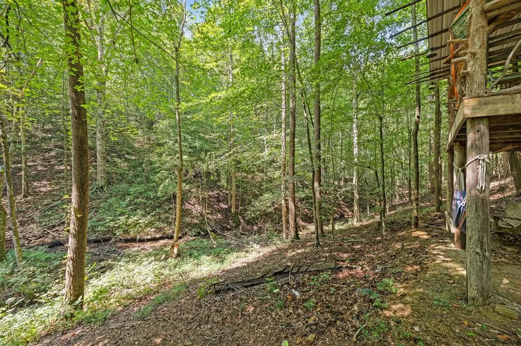 225 Richardson Lane Gainesboro TN 38562