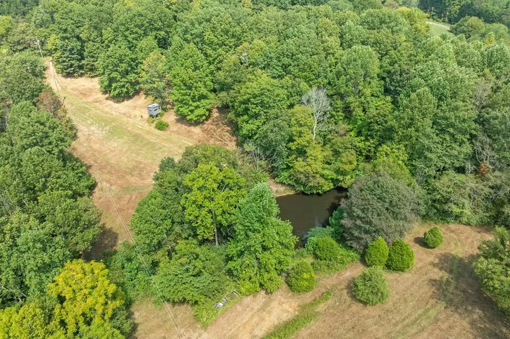225 Richardson Lane Gainesboro TN 38562