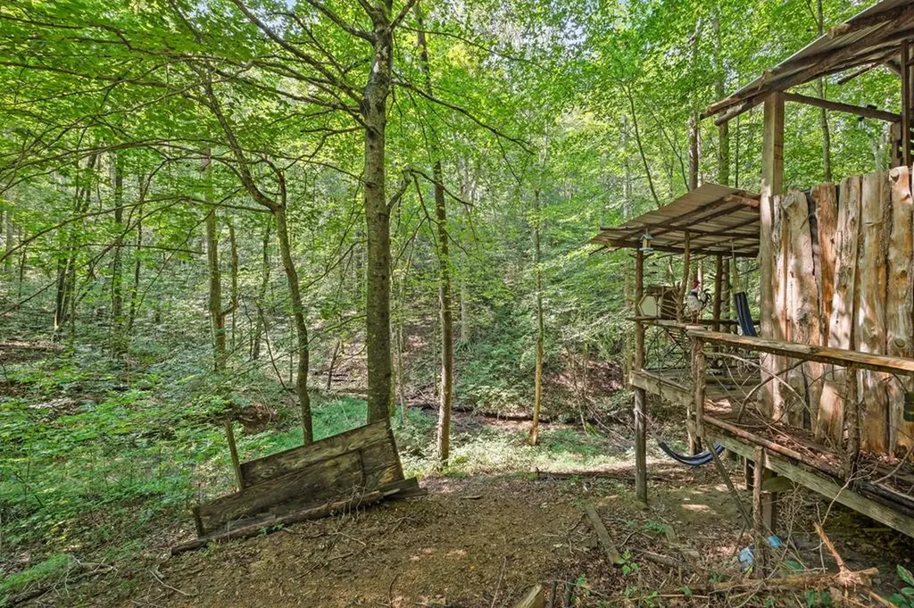 225 Richardson Lane Gainesboro TN 38562
