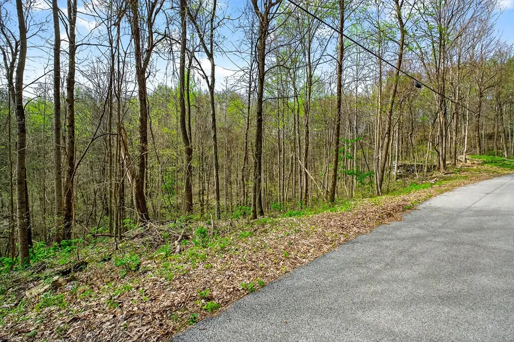 00 White Oak Flatt Sparta TN 38583