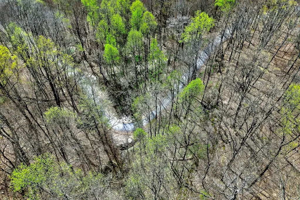 00 White Oak Flatt Sparta TN 38583