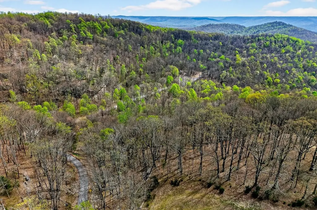 00 White Oak Flatt Sparta TN 38583