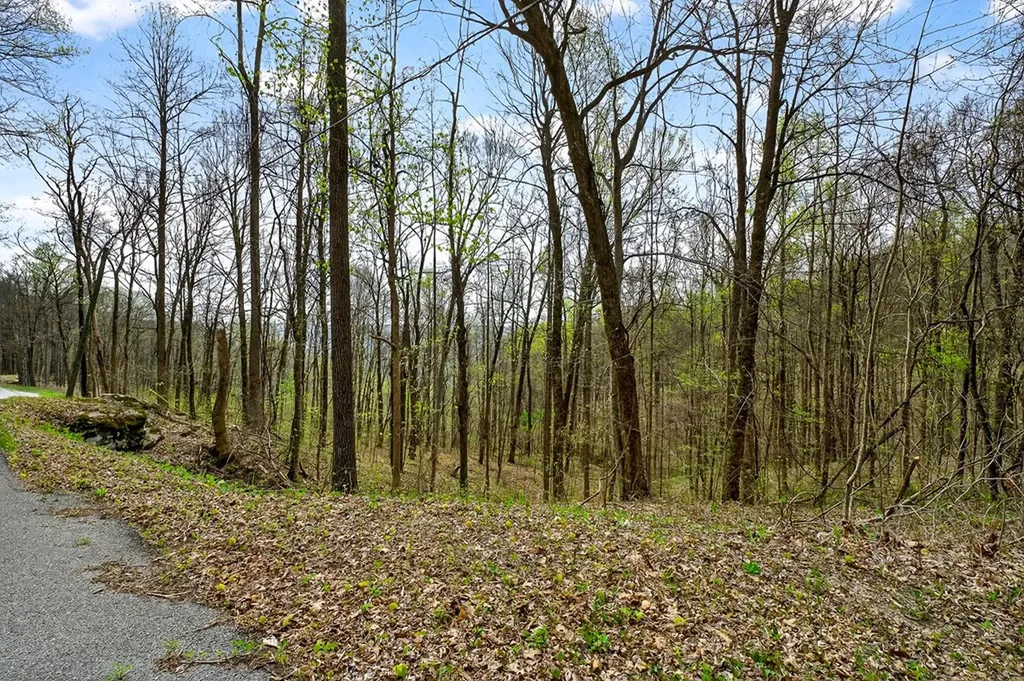 00 White Oak Flatt Sparta TN 38583