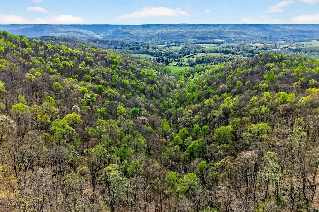 00 White Oak Flatt Sparta TN 38583