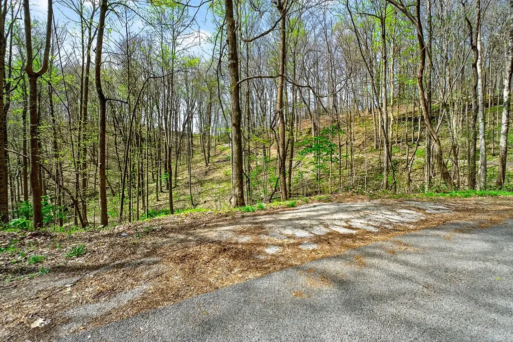 00 White Oak Flatt Sparta TN 38583
