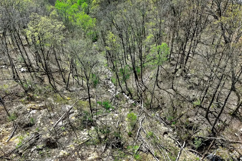 00 White Oak Flatt Sparta TN 38583