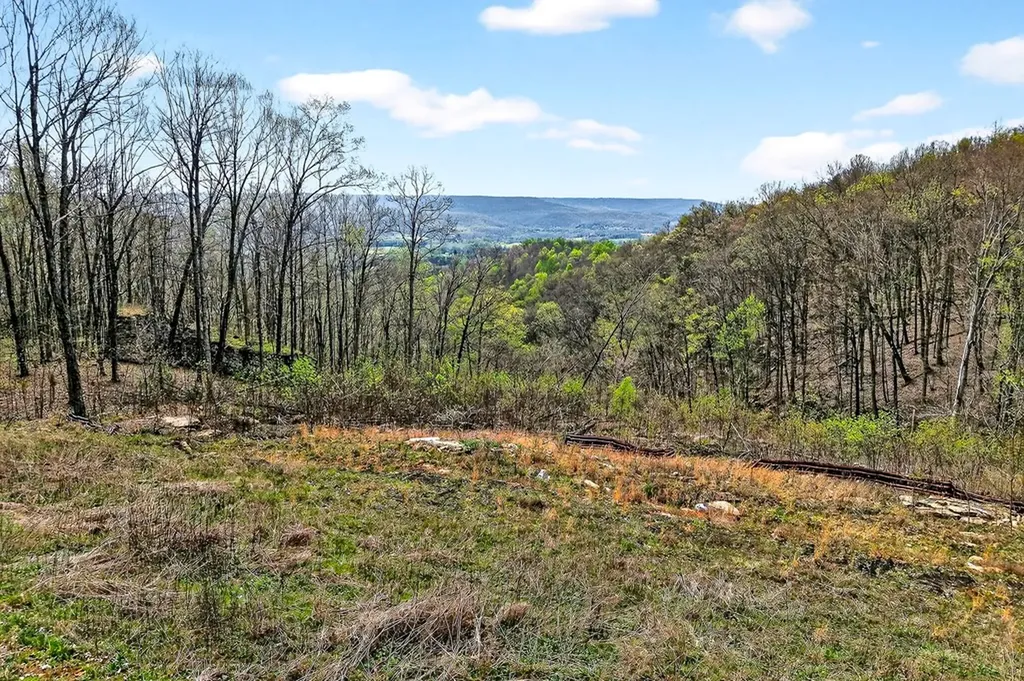 00 White Oak Flatt Sparta TN 38583
