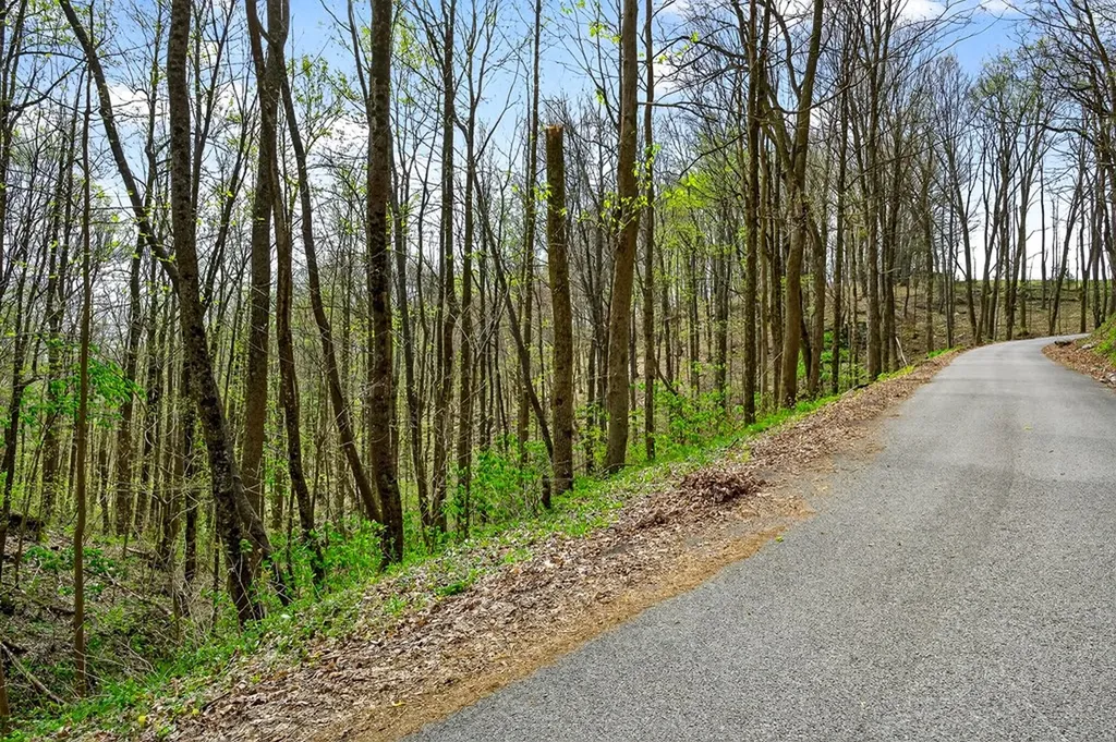 00 White Oak Flatt Sparta TN 38583