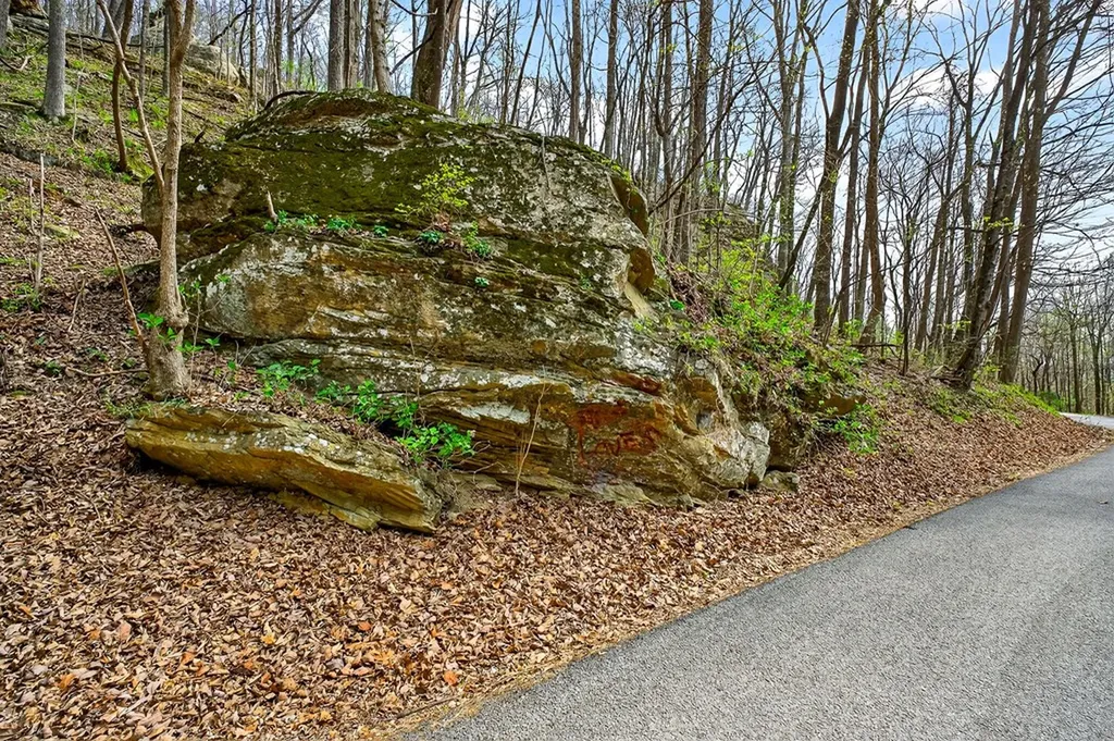 00 White Oak Flatt Sparta TN 38583