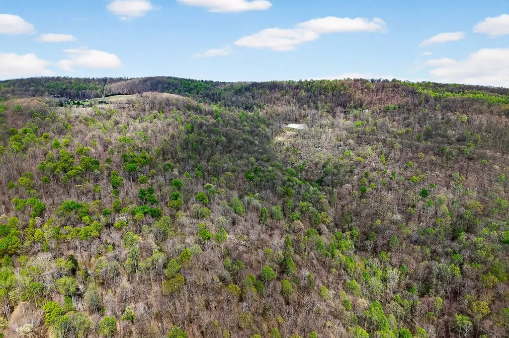 00 White Oak Flatt Sparta TN 38583