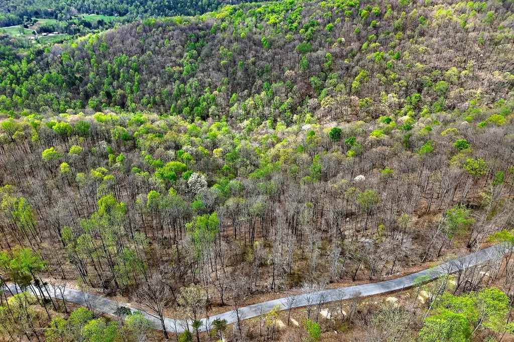 00 White Oak Flatt Sparta TN 38583