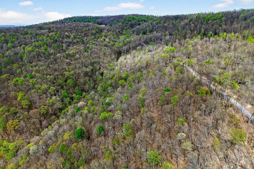 00 White Oak Flatt Sparta TN 38583