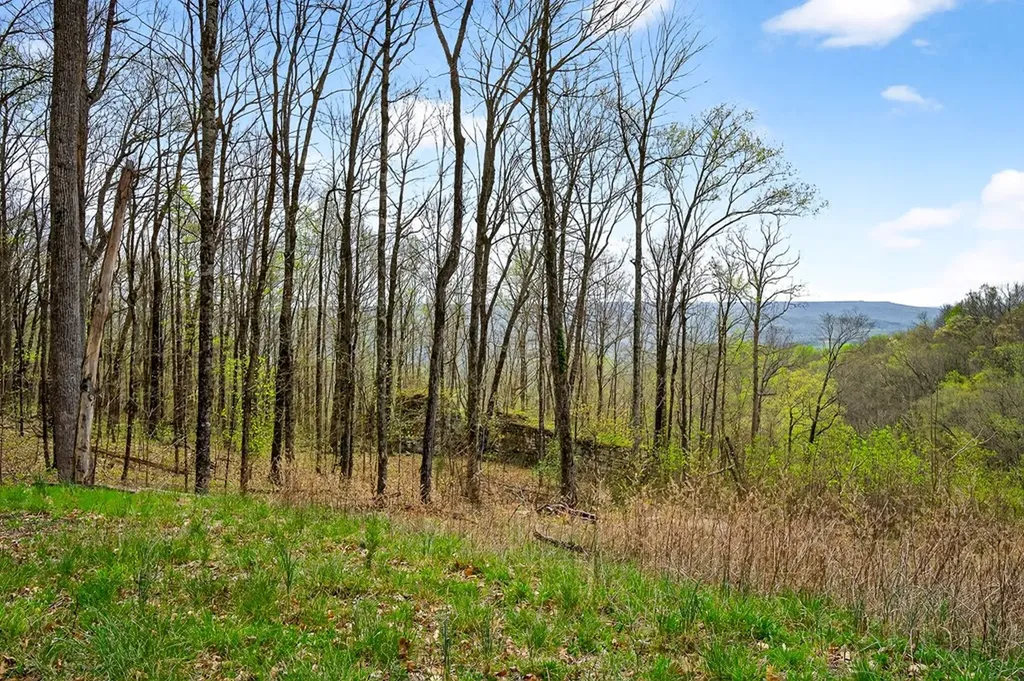 00 White Oak Flatt Sparta TN 38583