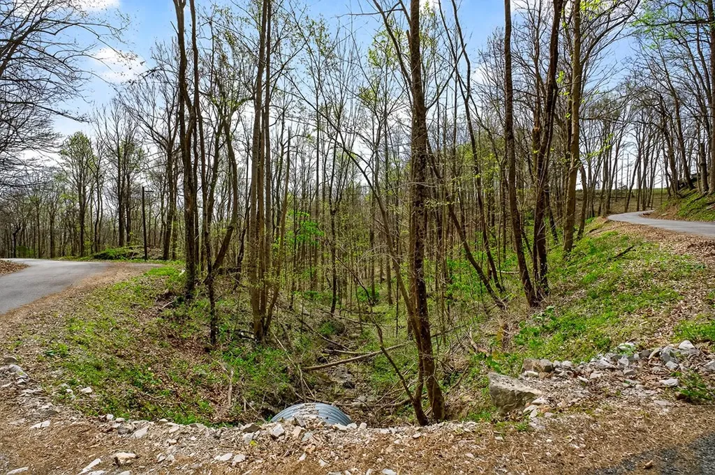 00 White Oak Flatt Sparta TN 38583