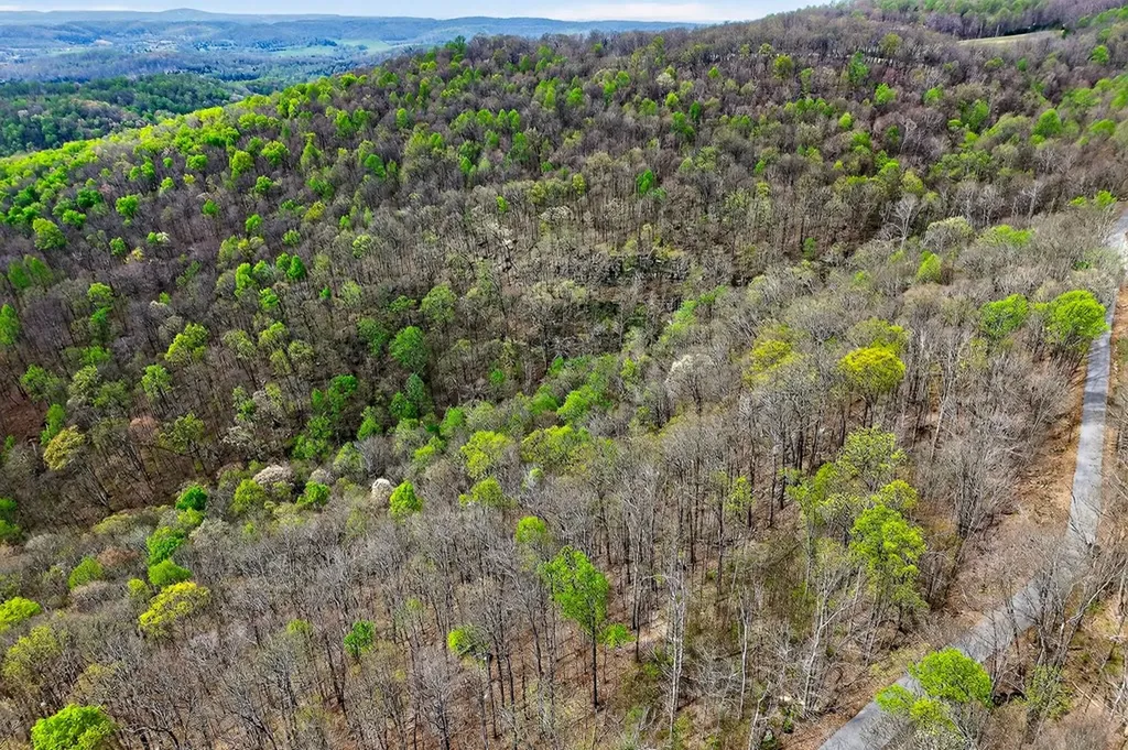 00 White Oak Flatt Sparta TN 38583