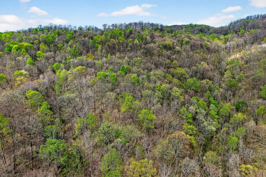 00 White Oak Flatt Sparta TN 38583