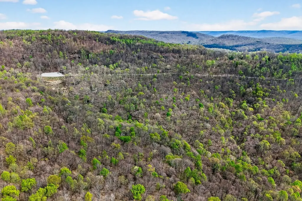 00 White Oak Flatt Sparta TN 38583
