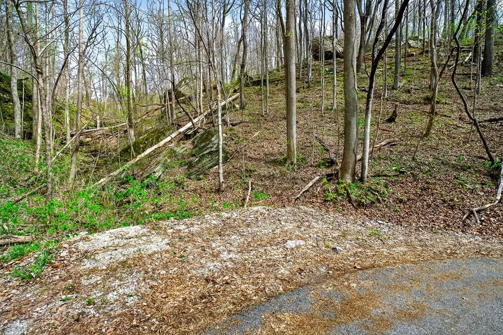 00 White Oak Flatt Sparta TN 38583