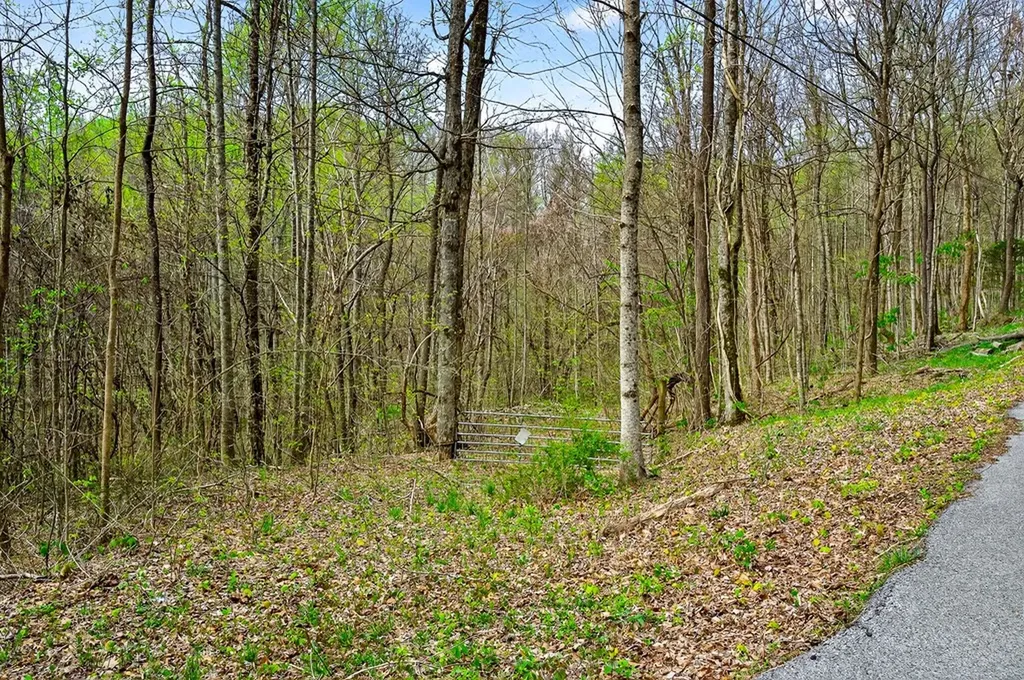 00 White Oak Flatt Sparta TN 38583