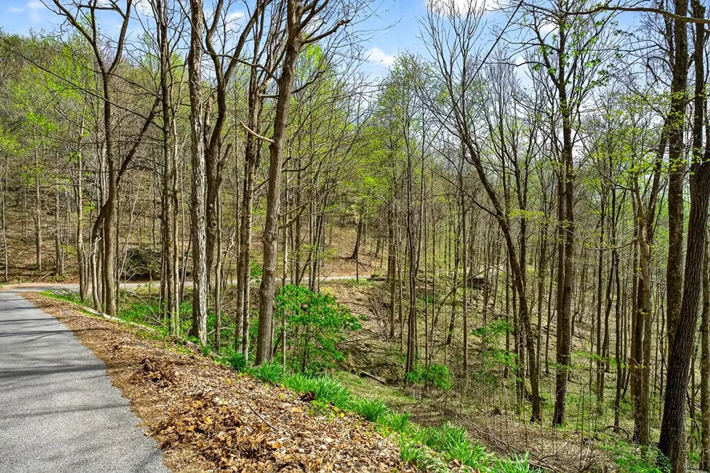 00 White Oak Flatt Sparta TN 38583