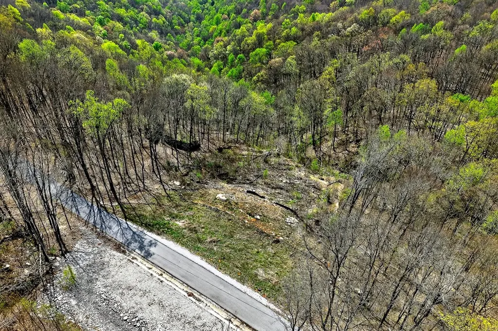 00 White Oak Flatt Sparta TN 38583