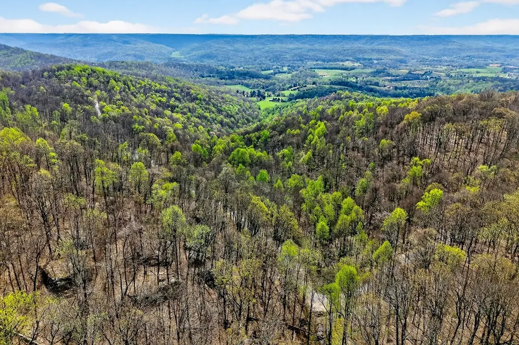 00 White Oak Flatt Sparta TN 38583