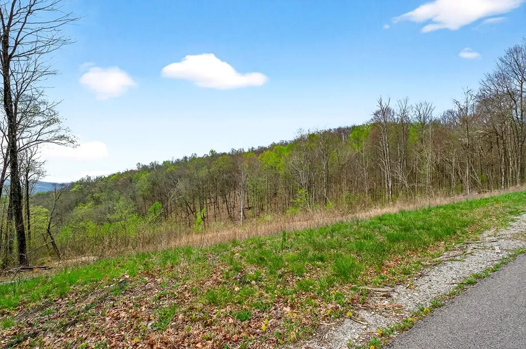 00 White Oak Flatt Sparta TN 38583