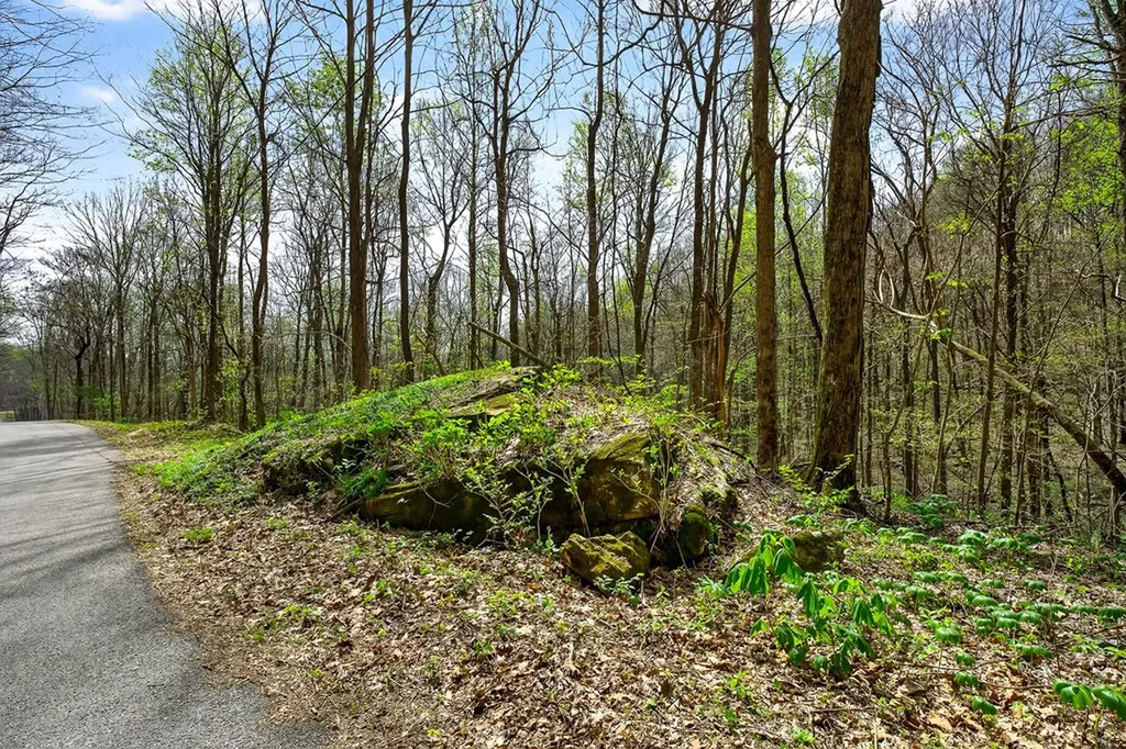 00 White Oak Flatt Sparta TN 38583