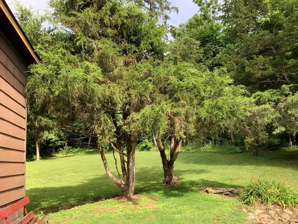 134 Ledford Livingston TN 38570