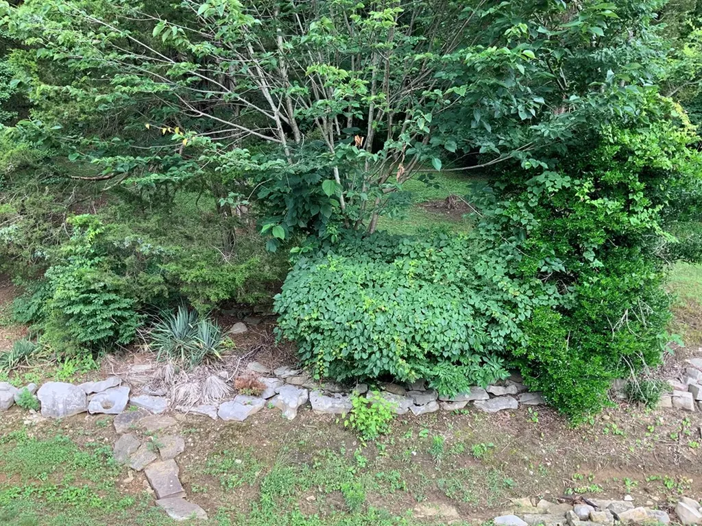 134 Ledford Livingston TN 38570