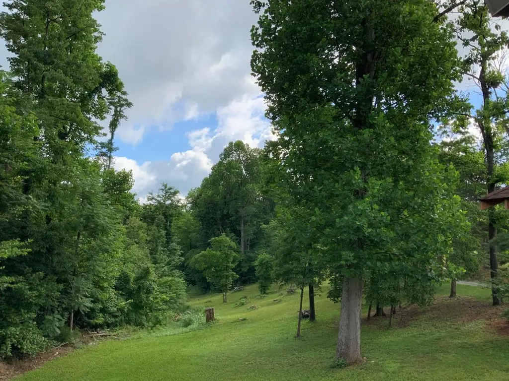 134 Ledford Livingston TN 38570