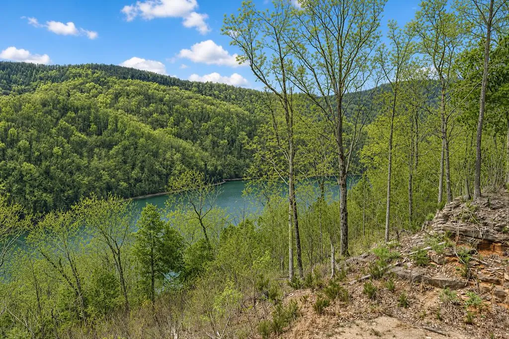 1089 Cornerstone Parkway Allons TN 38541