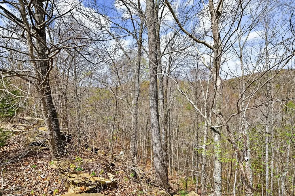 1089 Cornerstone Parkway Allons TN 38541